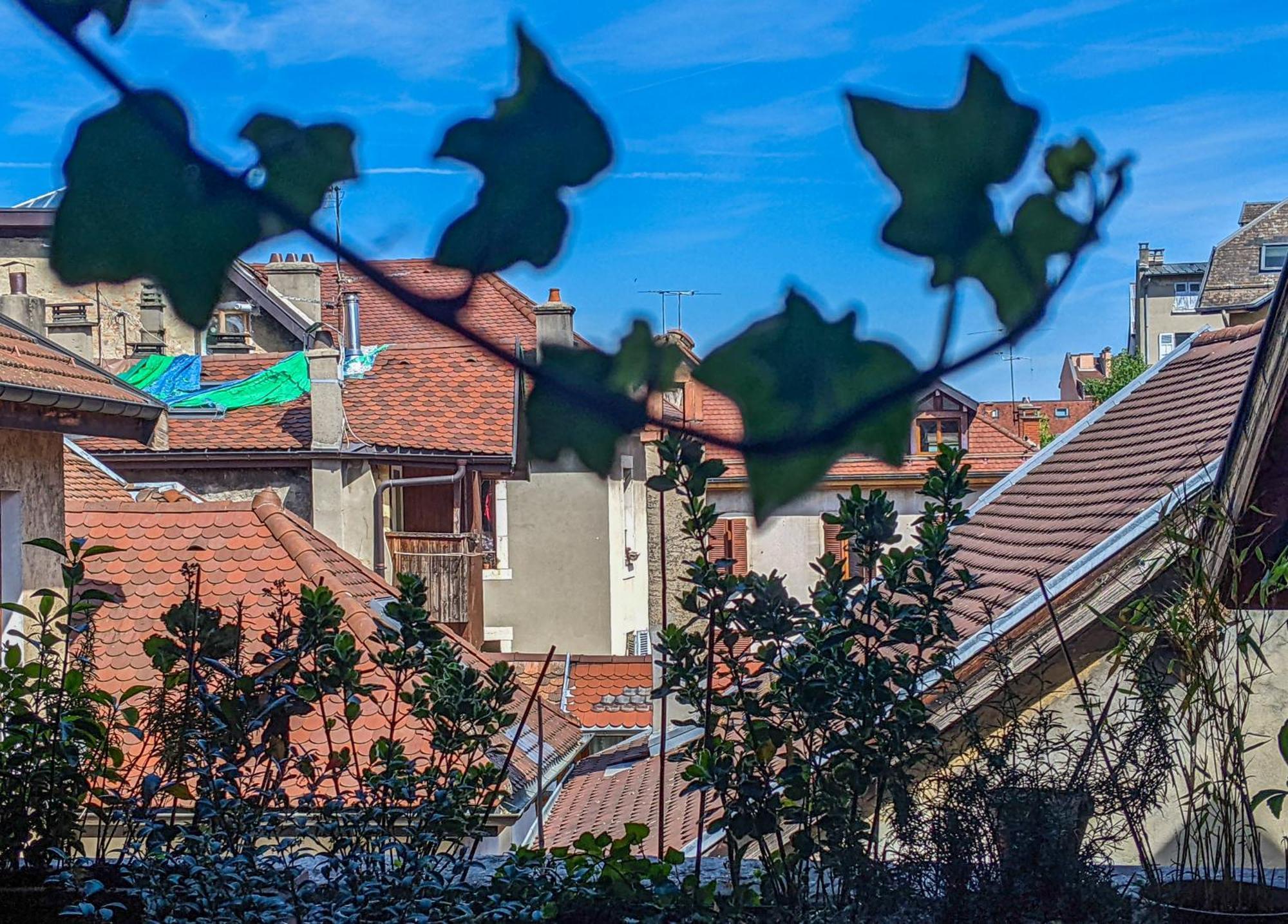 Bed and Breakfast Nid Douillet Annecy Exterior foto
