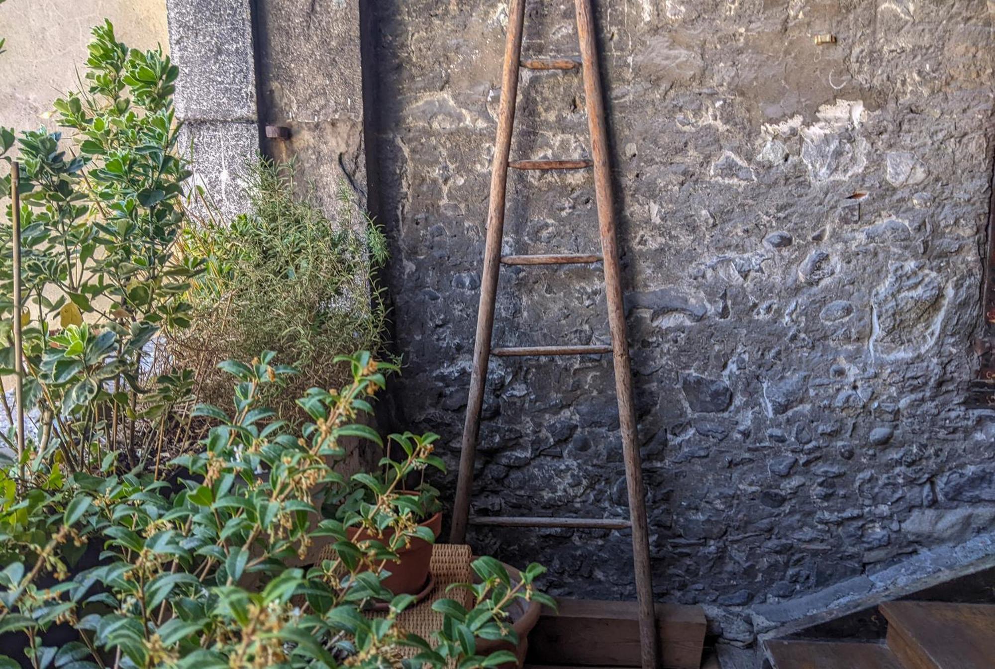 Bed and Breakfast Nid Douillet Annecy Exterior foto